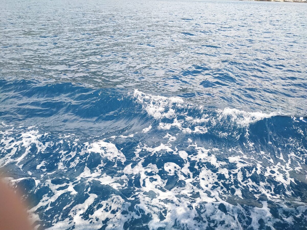 отпуск в июне 2020