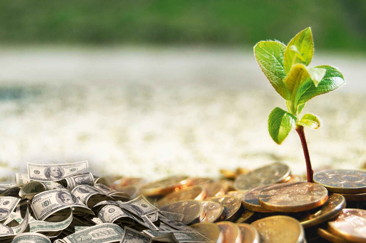 Фото: goodfon.ru