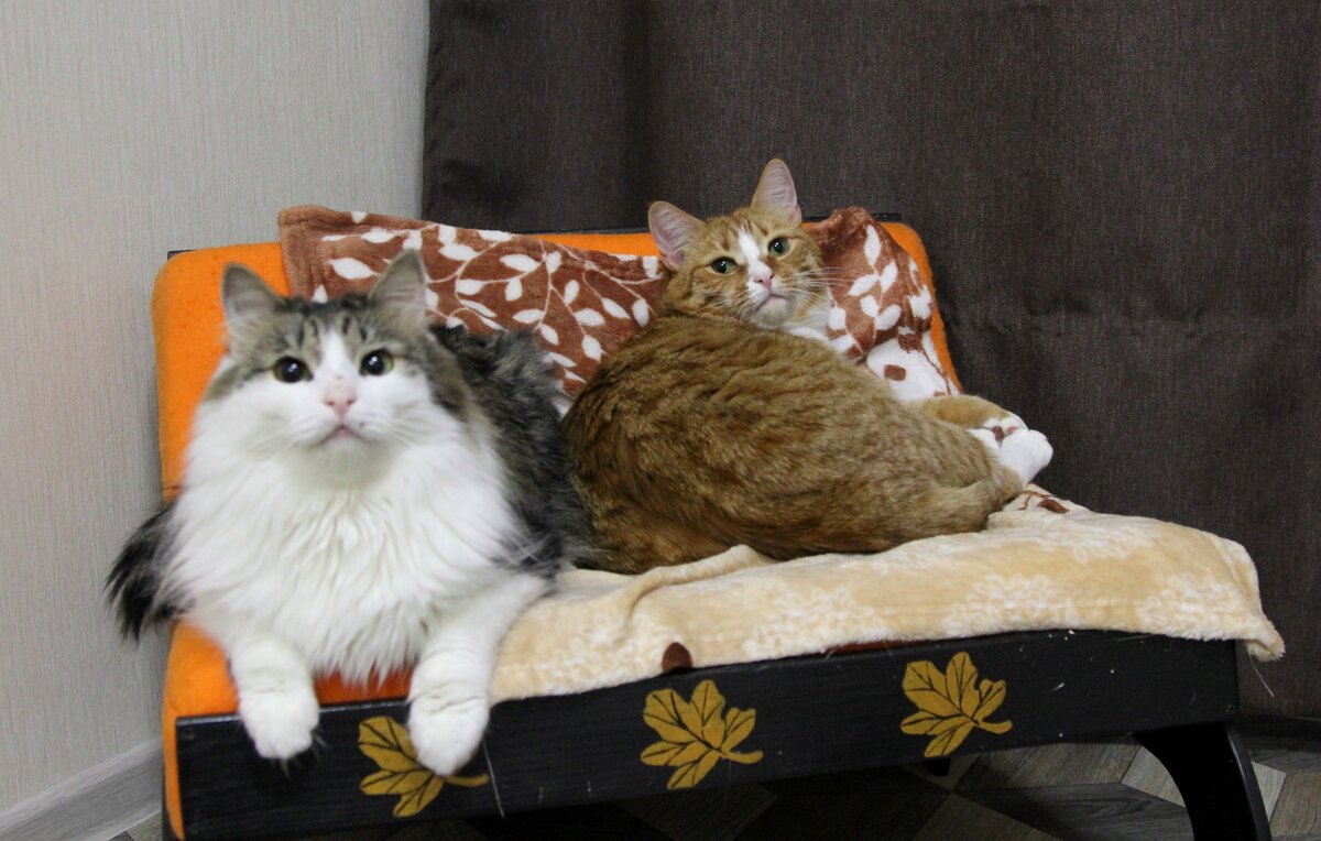 Справа Тася. Сама кому хочет по шеям надает;)