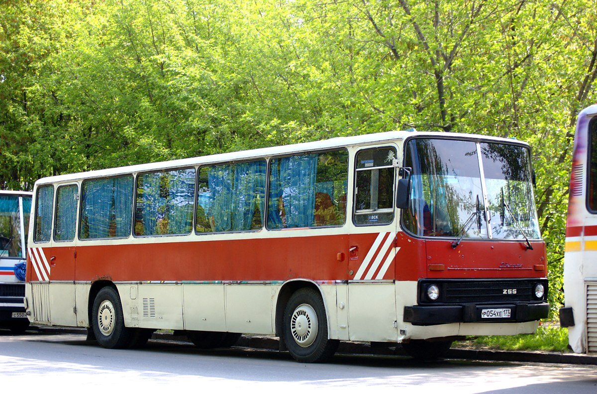 Источник фото: fotobus.msk.ru