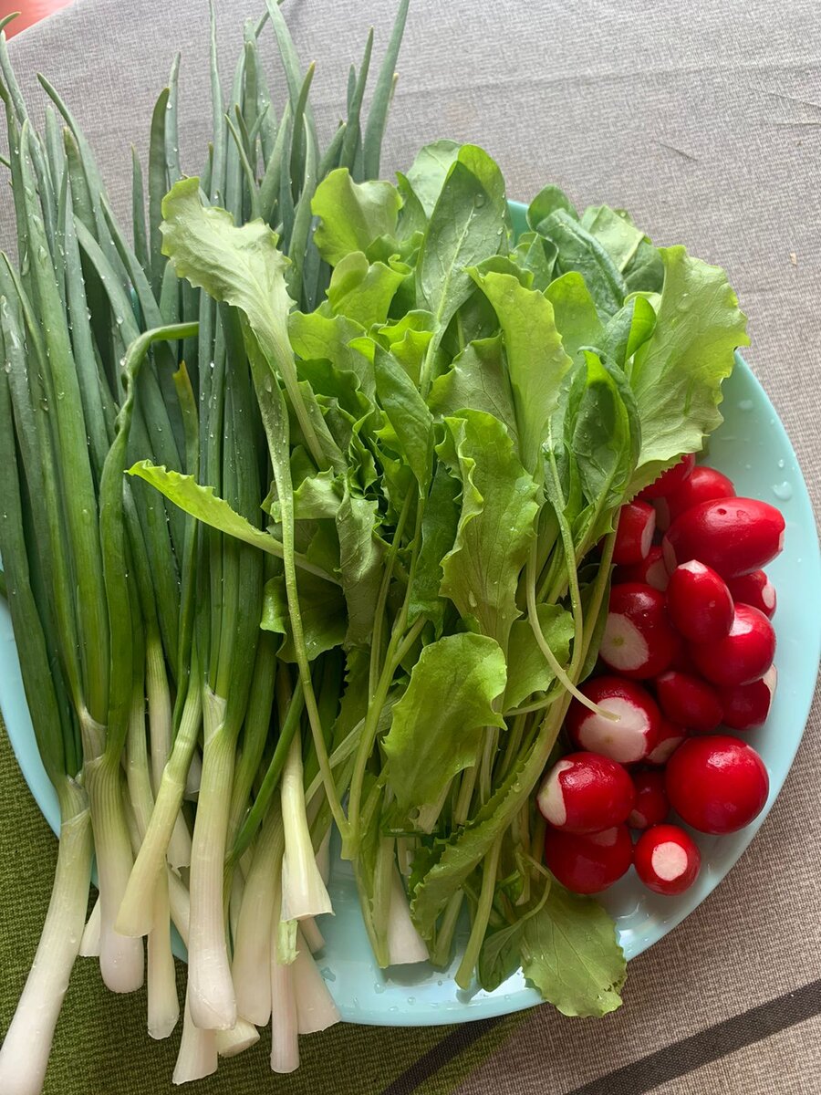 Самый ранний урожай