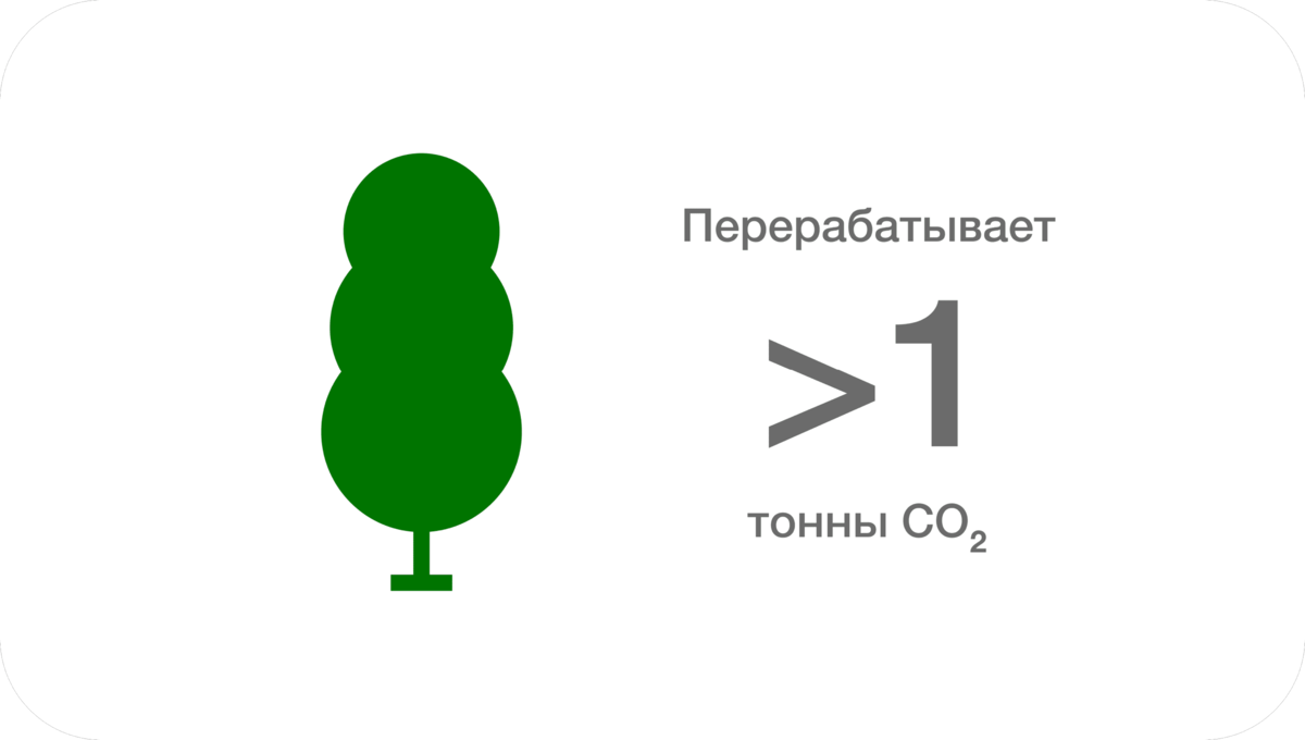 Какая страна держит первенство по выработке кислорода. Какая страна держит первенство по выработке кислорода. Состав воздуха диаграмма. Поглощение углекислого газа деревьями таблица. Какая страна держит первенство по выработке кислорода.
