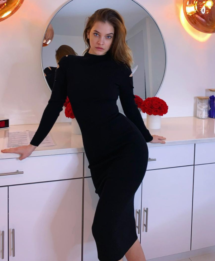 Палвин Барбара. Источник: https://www.instagram.com/realbarbarapalvin/