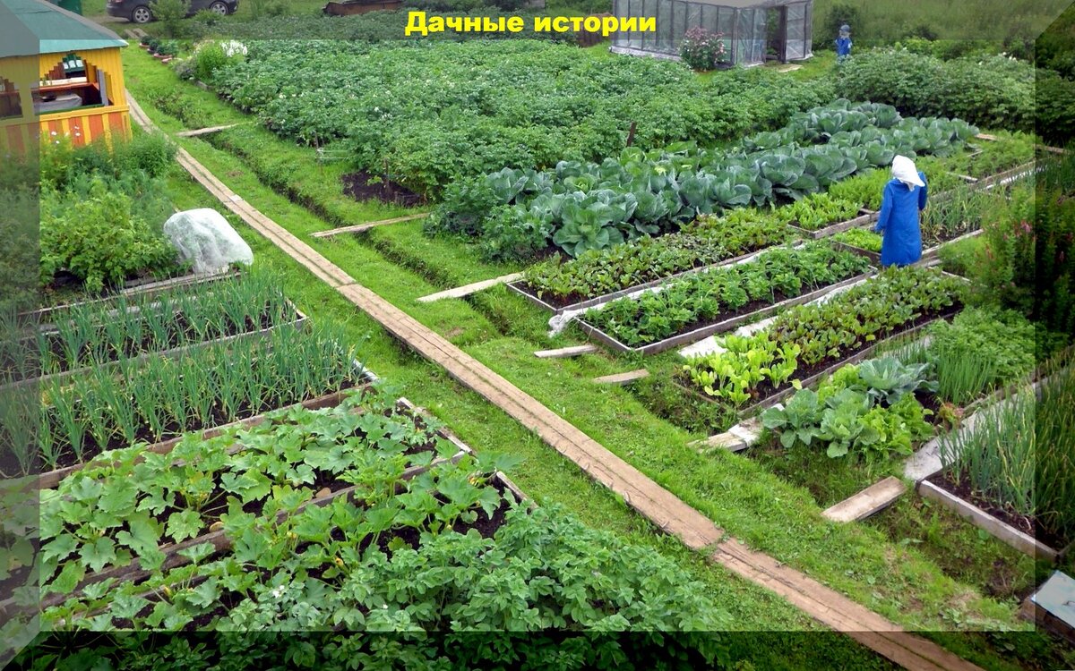 https://vk.com/photo-159774511_457252259