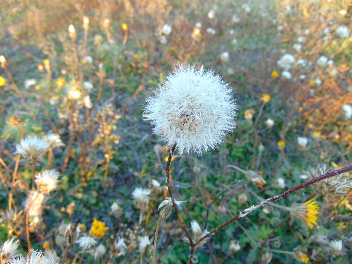 Фото автора канала