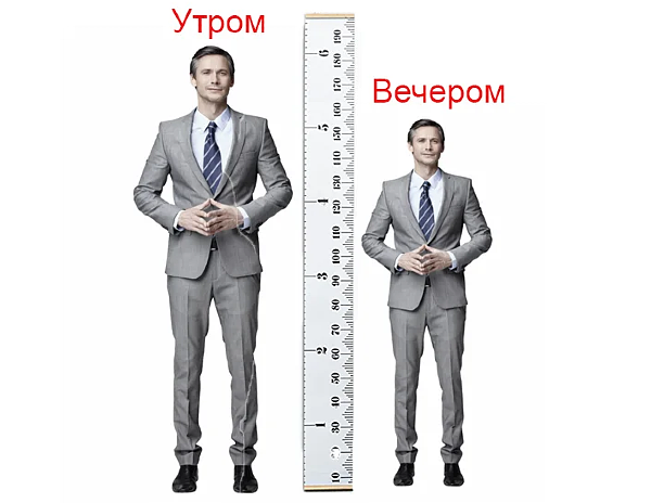 Есть несколько объяснений тому, почему мы выше ростом по утрам