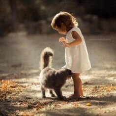 из свободных источников интернета. 