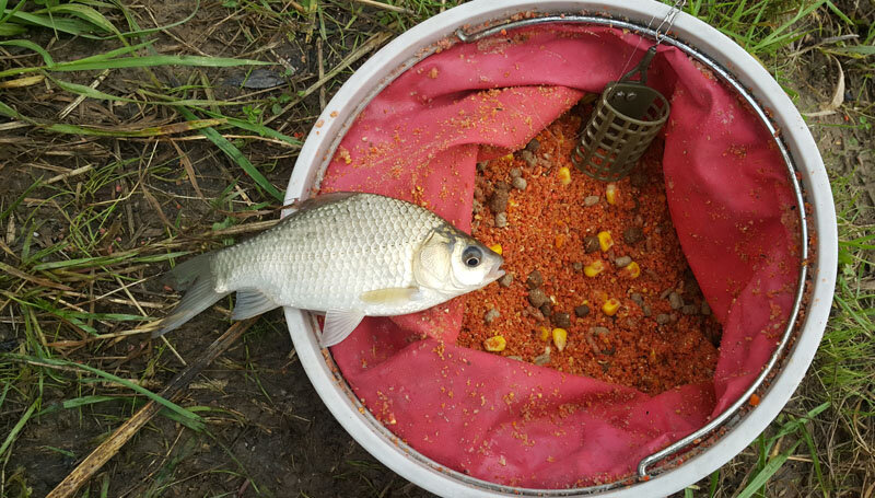 Фото из открытых источников "Яндекс картинки"