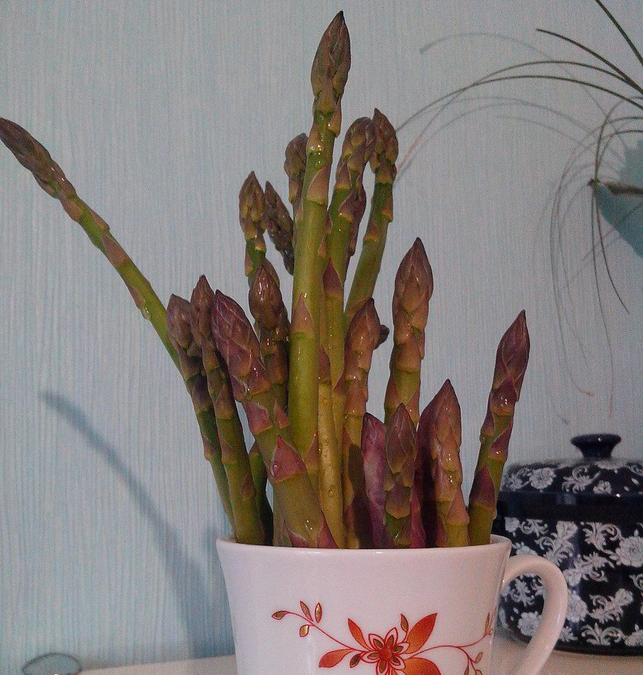 Спаржа, вкусный деликатес.