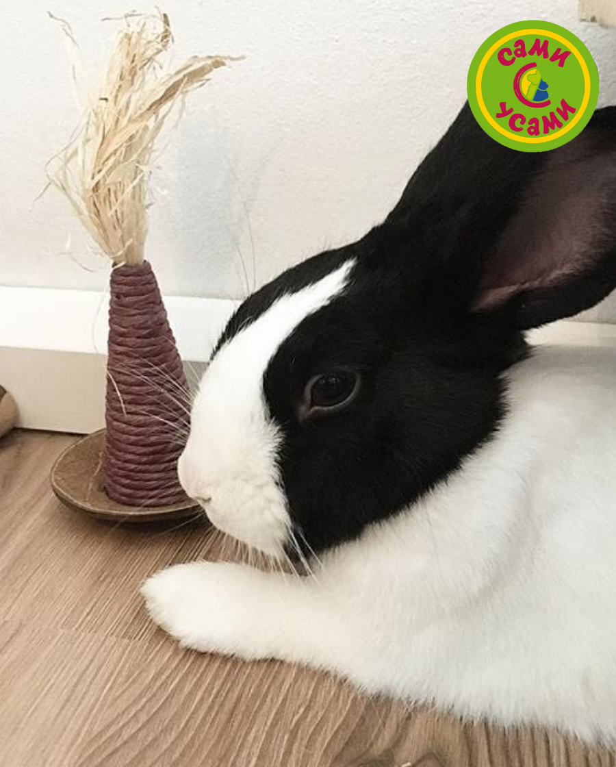 Игрушка для грызунов Rosewood кукурузная "Воблер"