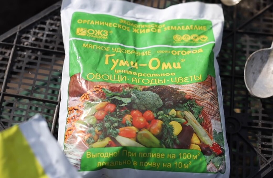 Фото: Петр Ломонос