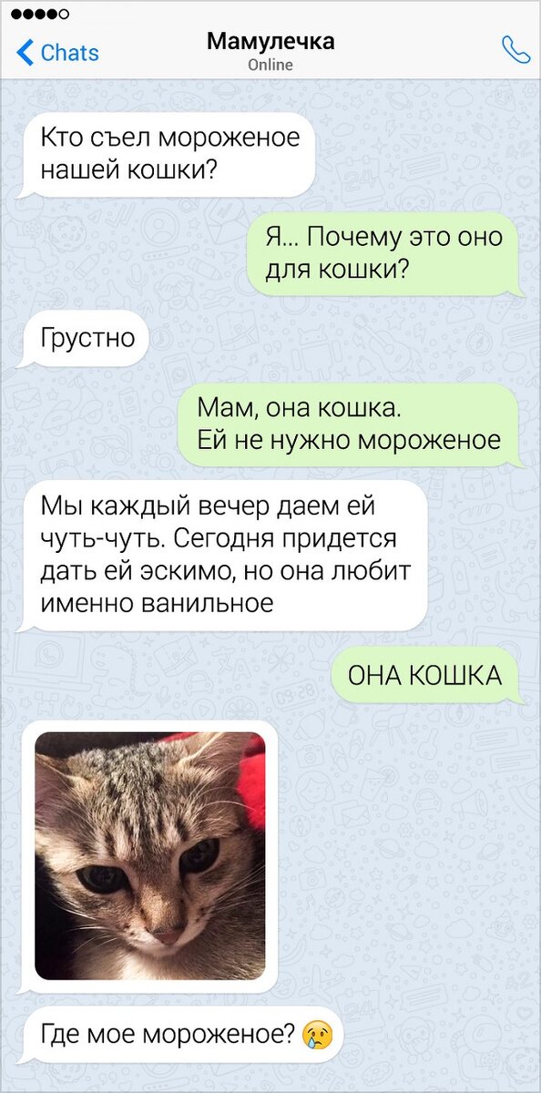 Коты, как отдельный вид знаменитости!