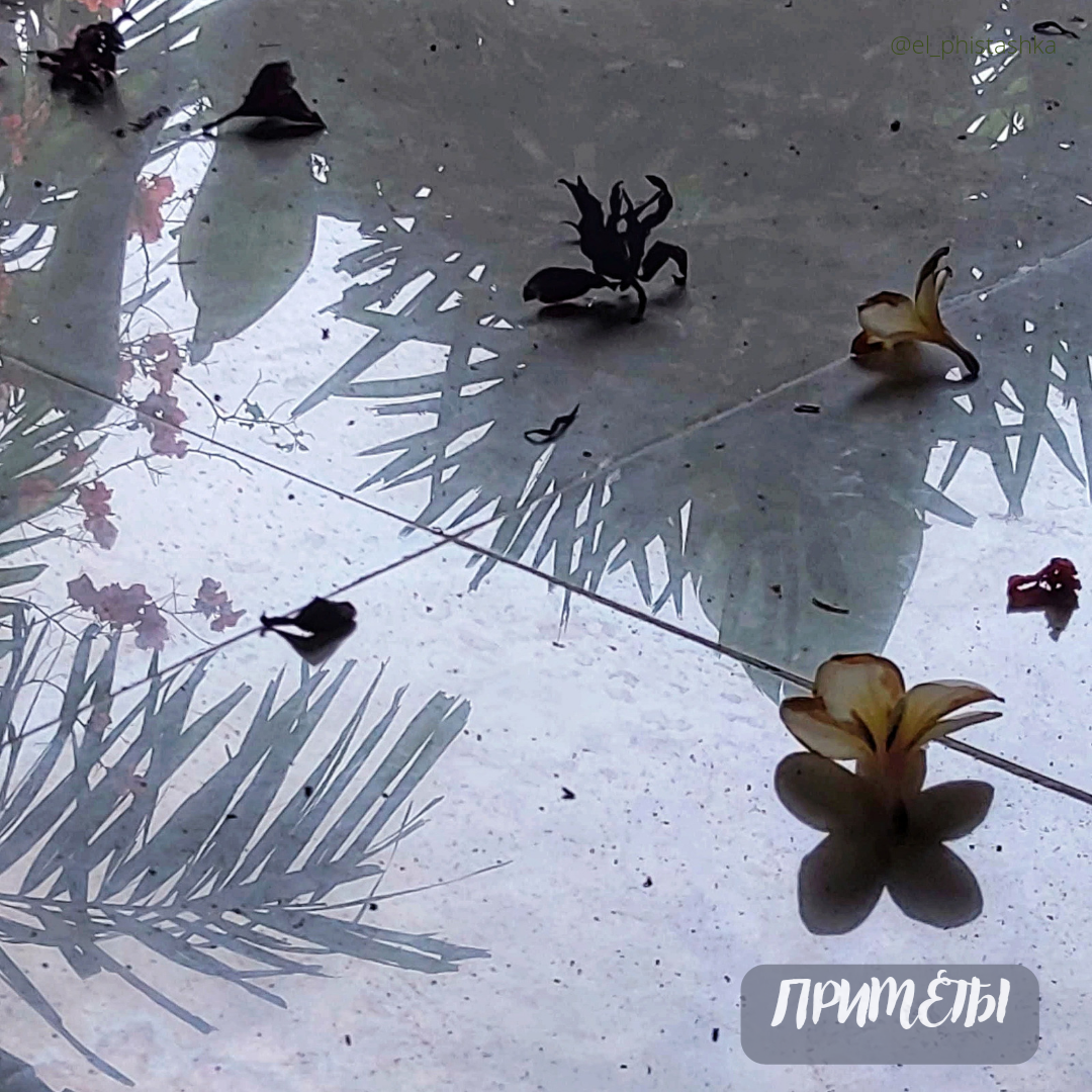 #житьдальше 