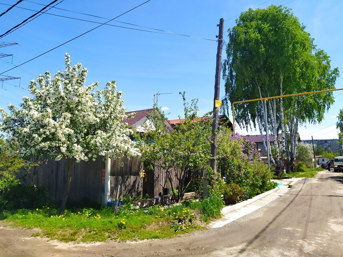 Улица Ташкентская (Екатеринбург) 