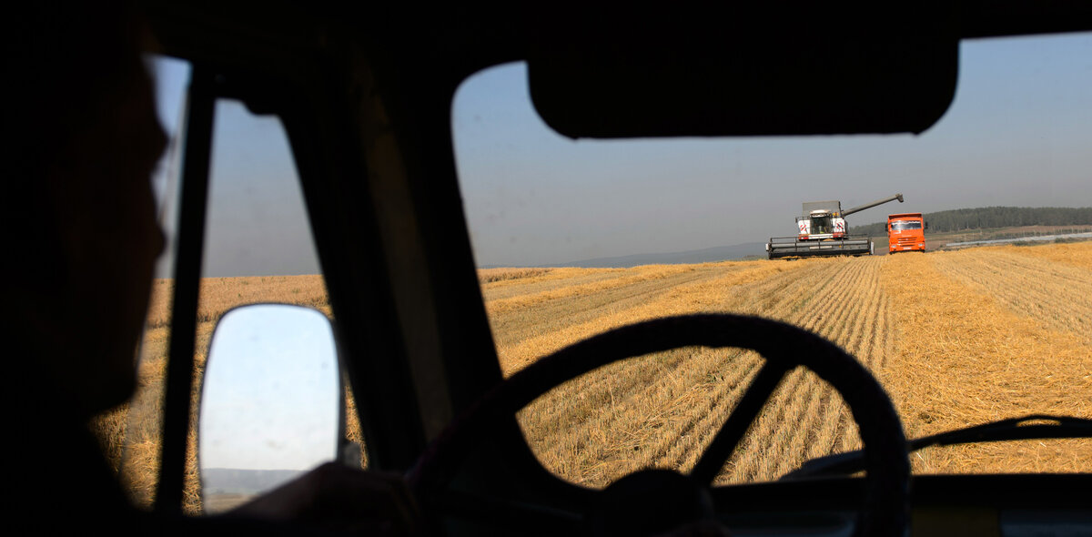 Фото: Донат Сорокин/ТАСС