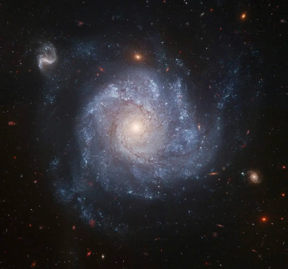 NGC 1309. Здесь взорвалась сверхновая SN 2012Z 