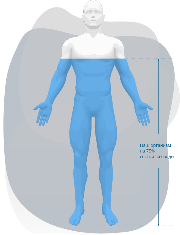 Основа организма. Вода в организме человека. Вода в теле человека. Наш организм состоит из воды. Человек состоит из воды.
