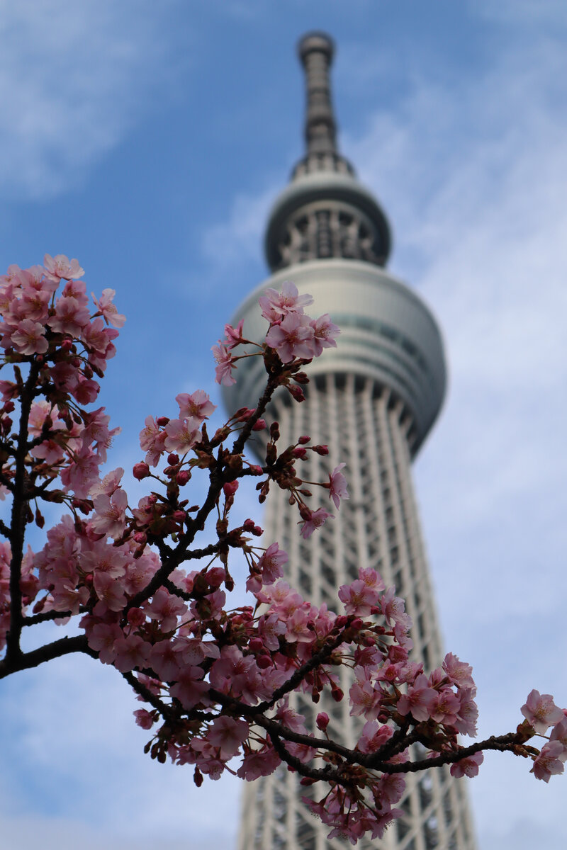 Tokyo Skytree