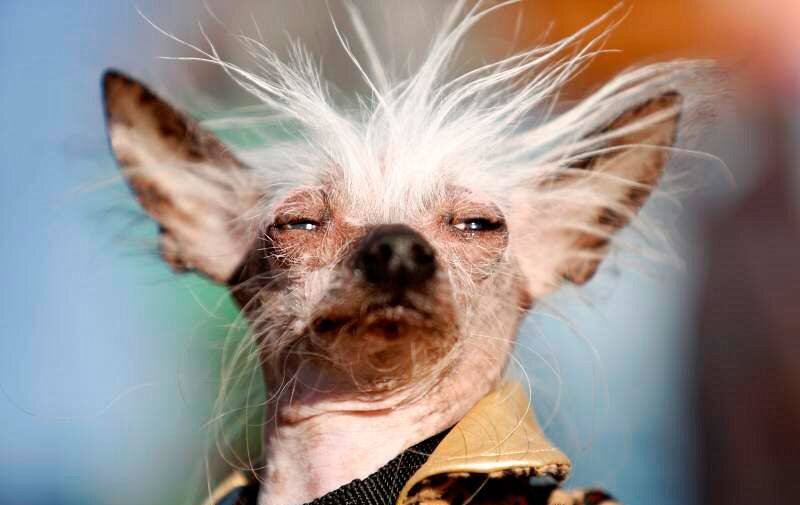 Ваш лук, когда вы полностью готовы к экзамену