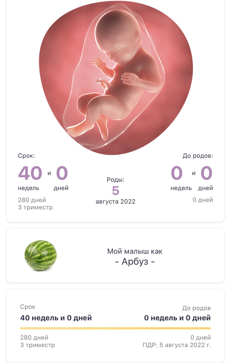 #40недельбеременности #насталпдр #узив40недель #дневникбеременности #беременностьпонеделям #беременностьпослеэко #роды 