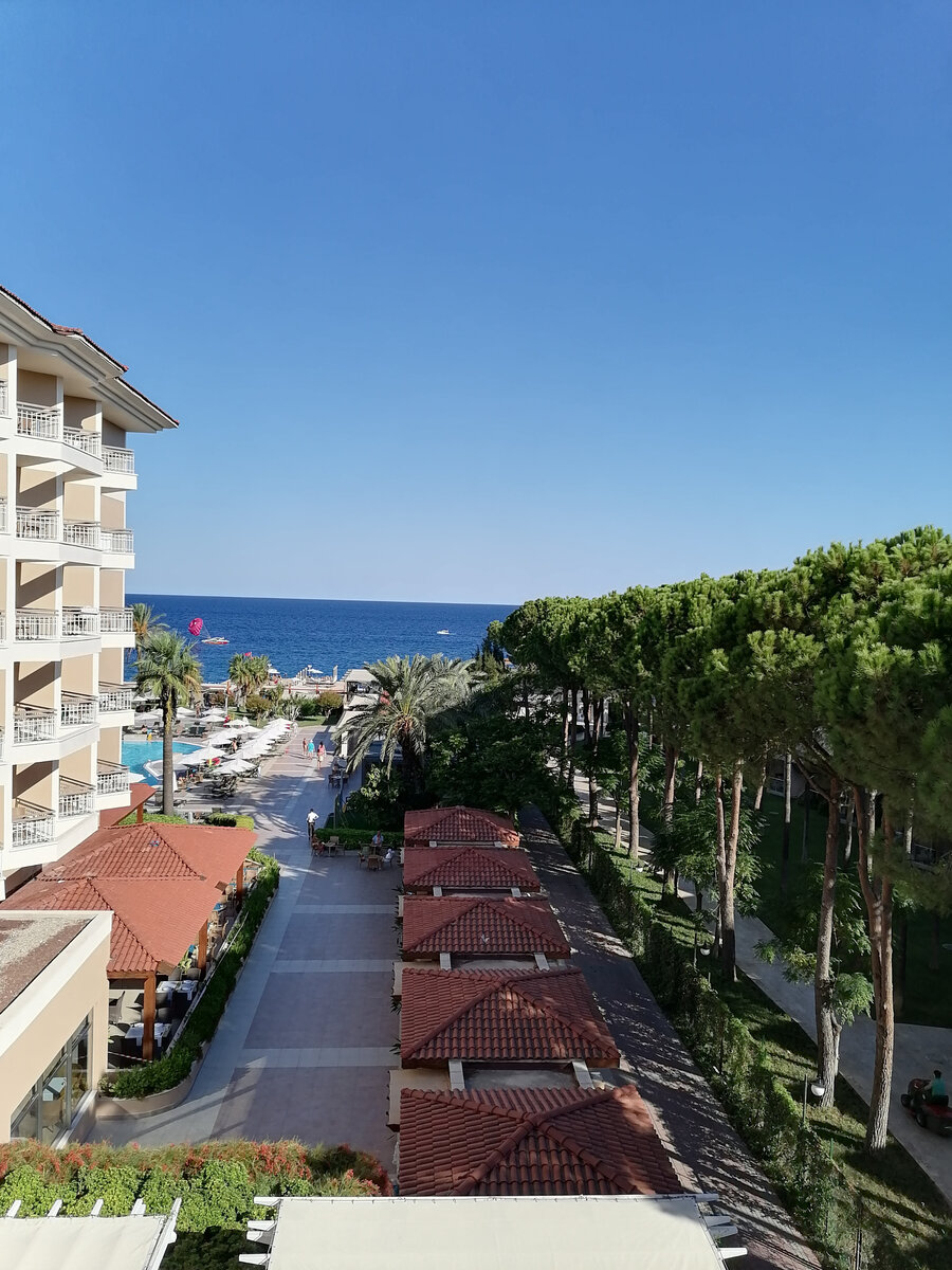 Вид с балкона нашего номера в отеле Акка Алинда. Сосны и пальмы. Из личного архива.