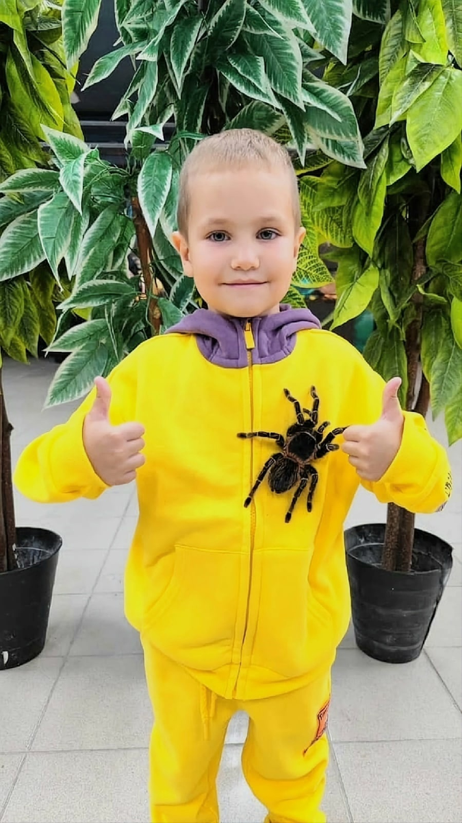 Пасхальная выставка в школе. Пауки выставка. Музей с пауками. Выставка пауков волгоград 7 звезд. Выставка пауков.