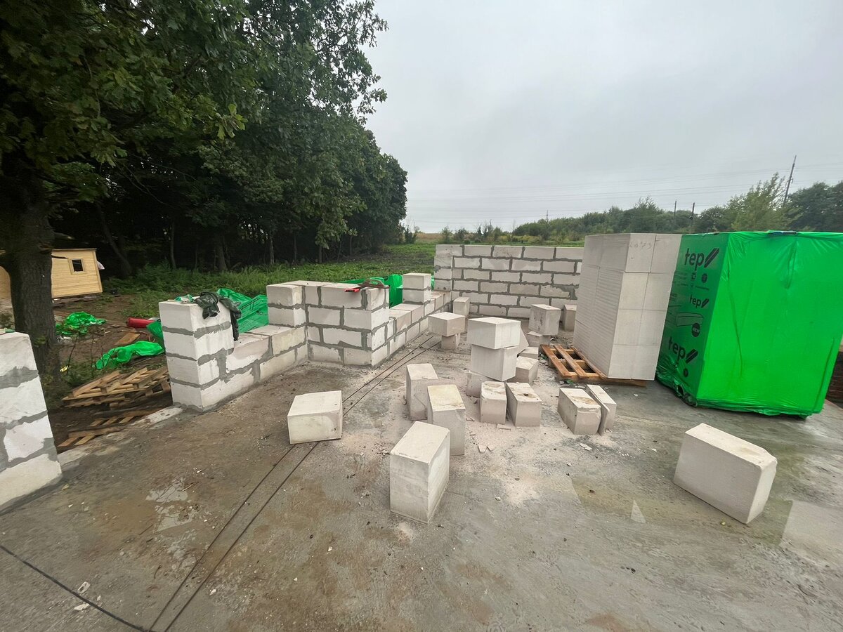 Уже вырисовываются наши большие окна в лес, о которых мы так мечтали