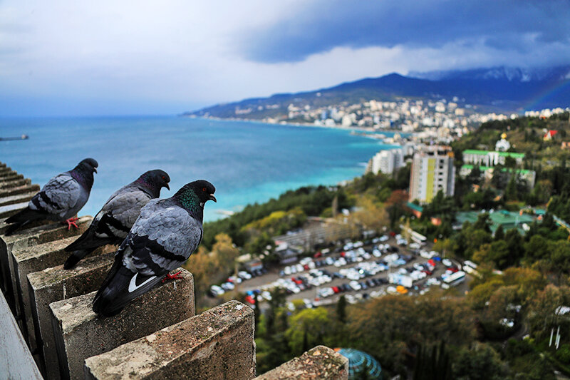    © Владимир Смирнов/ТАСС