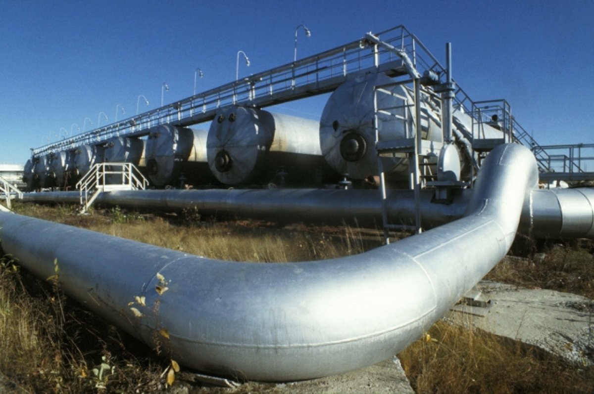    Экономист Мустафа: сокращение нефтедобычи РФ и СА разорит Европу