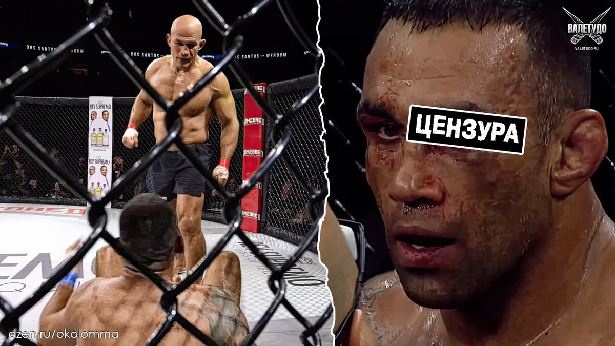 Джуниор Дос Сантос и Фабрисио Вердум бой | valetudo.ru 