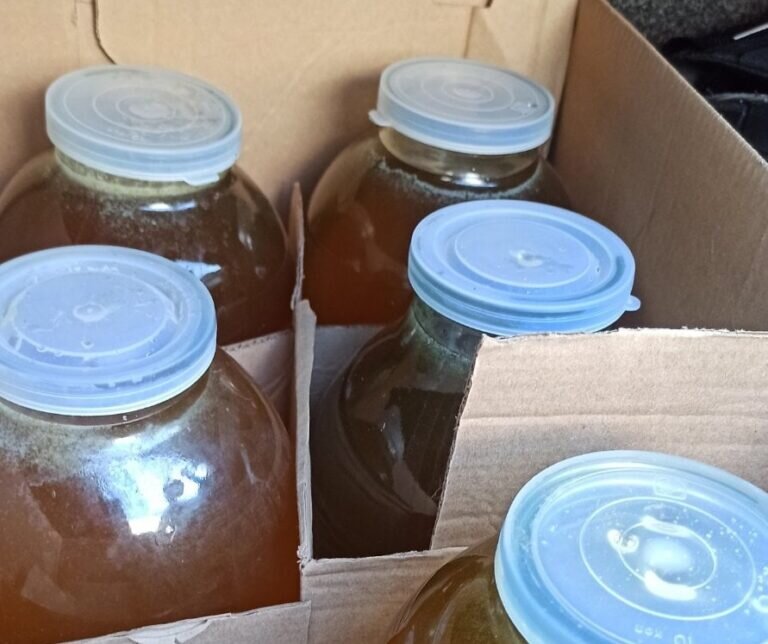    В Оренбуржье пресекли попытки вывоза в Казахстан копченой рыбы и меда без документов Кристина Просвиркина