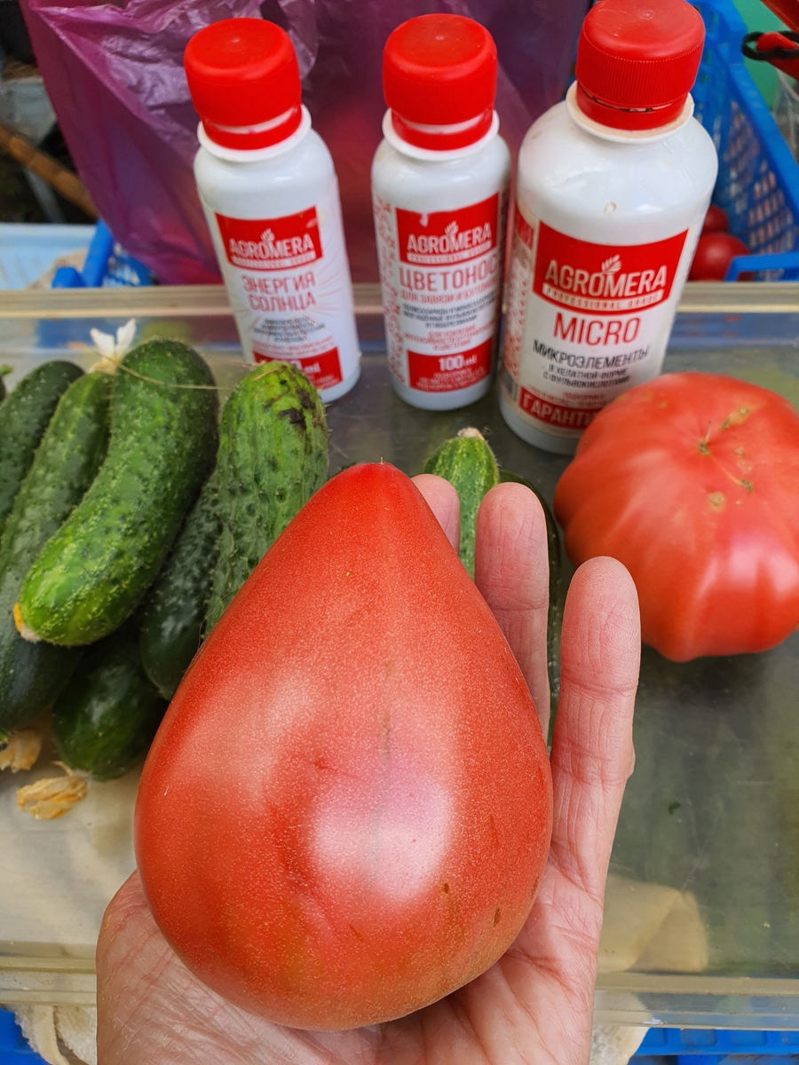 Сентябрьский урожай