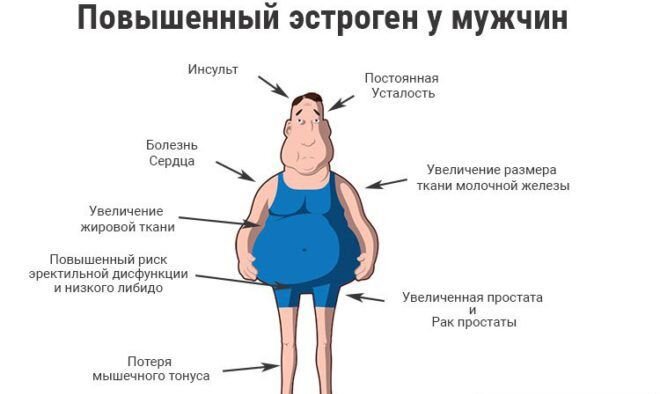 Повышенный эстроген: причины, диагностика и лечение - клиника превентивной медицины Остеопоинт