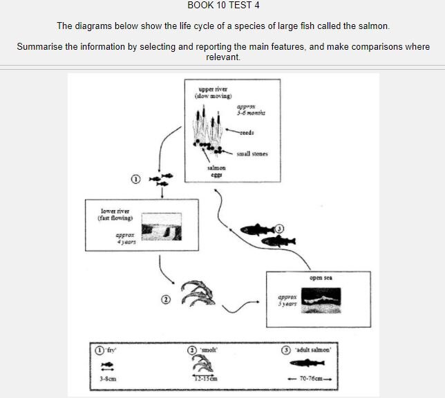 Read the diagram. IELTS Life Cycle diagram. IELTS Life Cycle. IELTS diagram Cycle. IELTS writing task 1 Cycle.