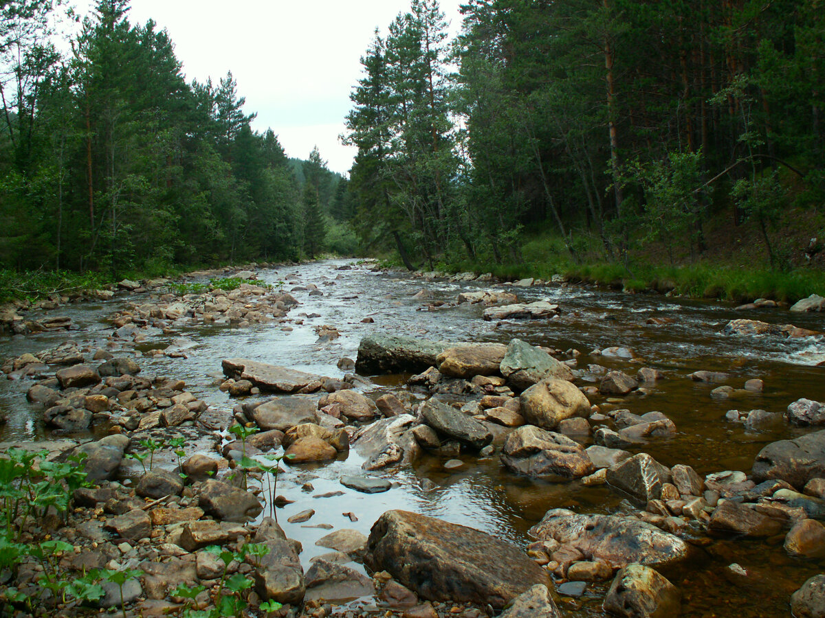 Одна из речек. Предполагаю — р. Белая