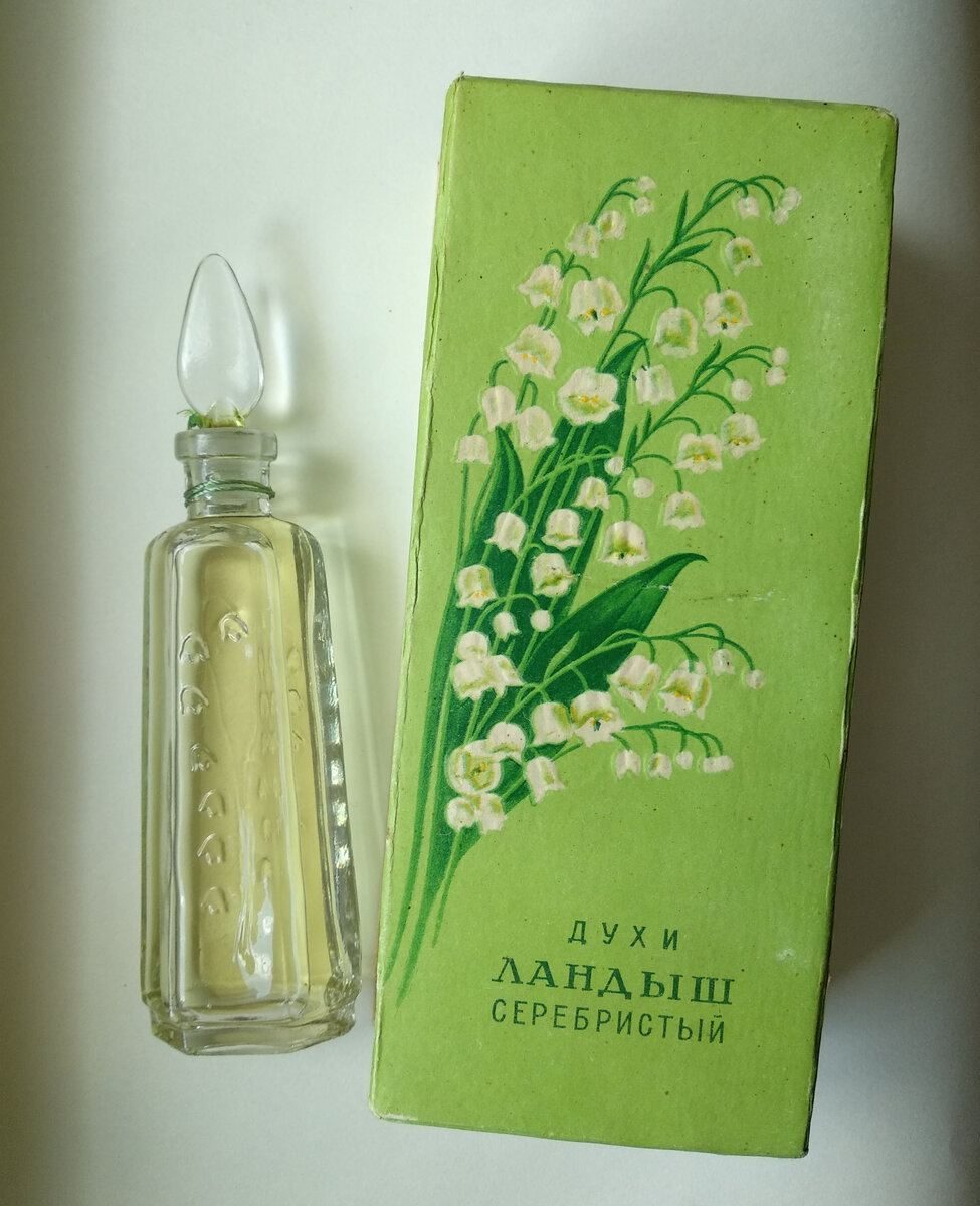 Ландыш серебристый