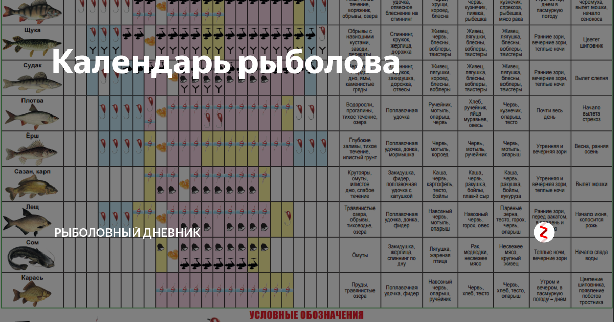 Календарь ловли рыбы. Таблица клева рыбы. Календарь рыболова на 2020 год.