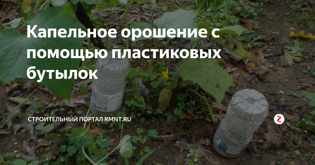 Капельное орошение с помощью пластиковых бутылок | Строительный портал ...