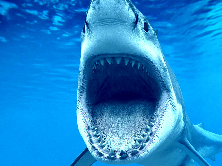 Если и жрать, то крупно и пачками!