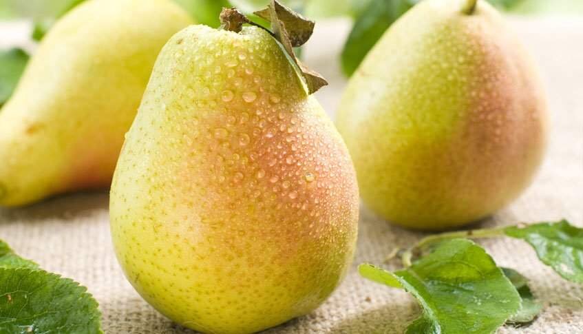 польза от груш при беременности