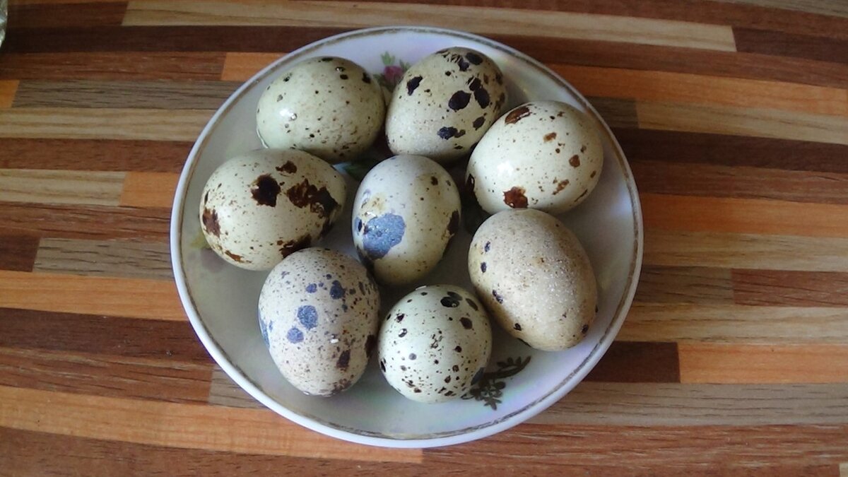 Купить яйцо детям. 10 Перепелиных яиц. Яйцо перепелиное. Вареные перепелиные яйца. Перепелиные яйца детям.