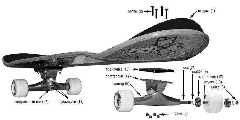 Как сделать скейтборд своими руками в домашних условиях