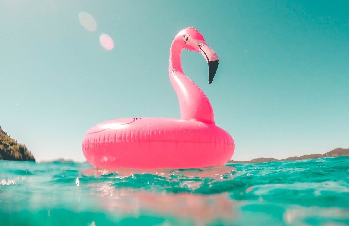 Источник фото: unsplash.com