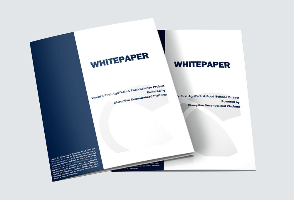 Кого можно представить в white paper проекта