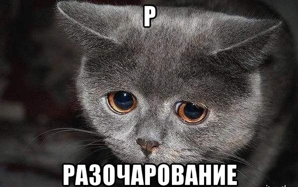 Подписывайтесь на мой канал, ставьте лайки. Это поможет развитию канала👍