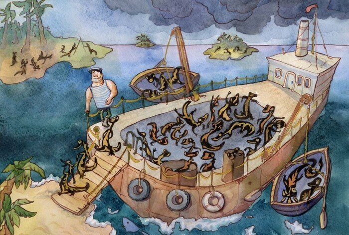 Капитан ван Тох и саламандры