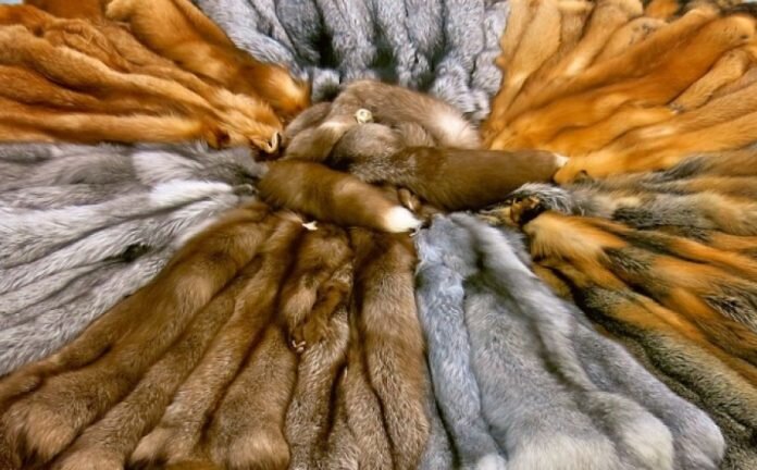 фото с сайта yaizakon.com.ua