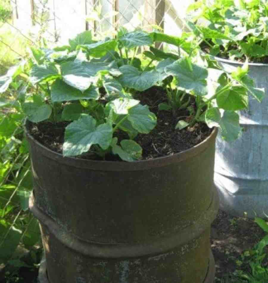 Источник фото: https://st03.kakprosto.ru//images/article/2015/3/12/141412_5501c871300445501c8713007a.jpeg