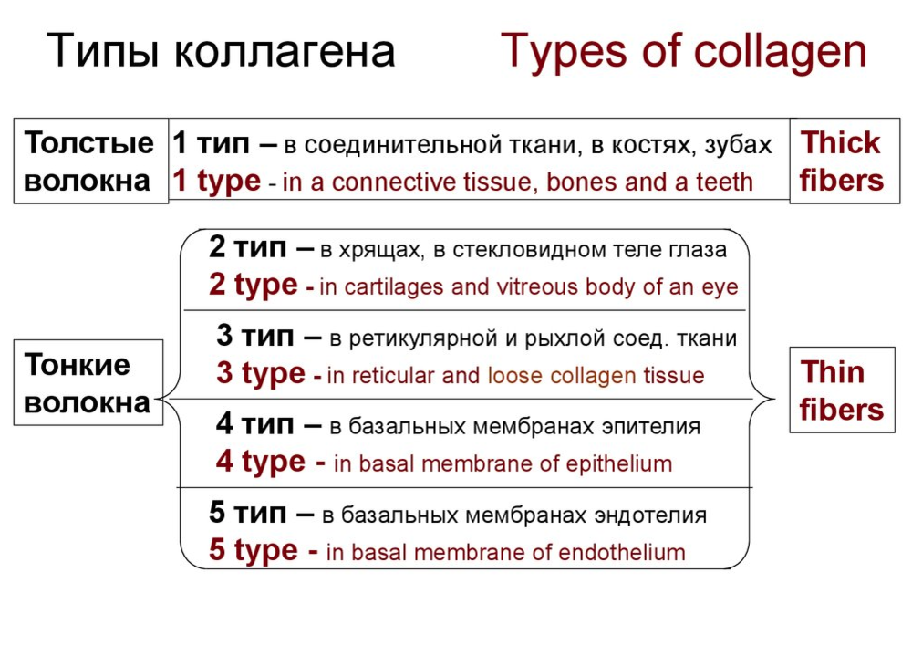 Коллаген 1 типа. Типы коллагена 1 2 3 разница. Типы коллагеновых волокон таблица. Типы коллагена таблица