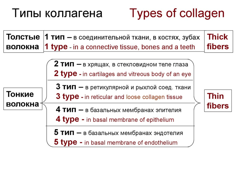 Чем отличаются типы коллагена. Типы коллагеновых волокон таблица. Коллаген типы 1 2 3. Типы коллагена 1 2 3 разница. Коллаген 1 типа.